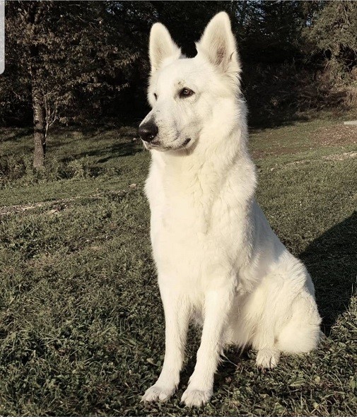 Lolita Du Lac De Garm